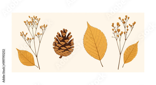 A vintage botanical illustration featuring autumn elements like a pinecone, yellow leaves, and branches with berries on a light background.