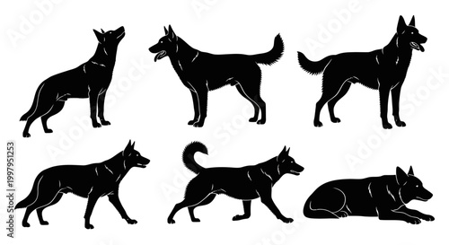 German Shepherd Dog Silhouettes Set in Various Poses on White Background