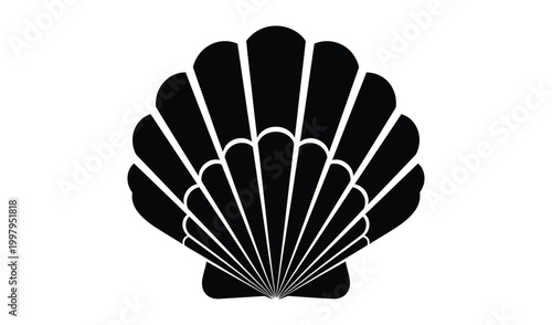 Detailed black and white illustration of a scallop shell, showcasing intricate radial lines and symmetrical pattern, isolated on a clean background.