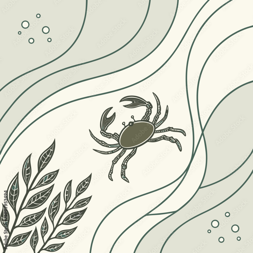 Fototapeta premium Seafood, ocean, crab, leafy, wavy lines, vector illustration