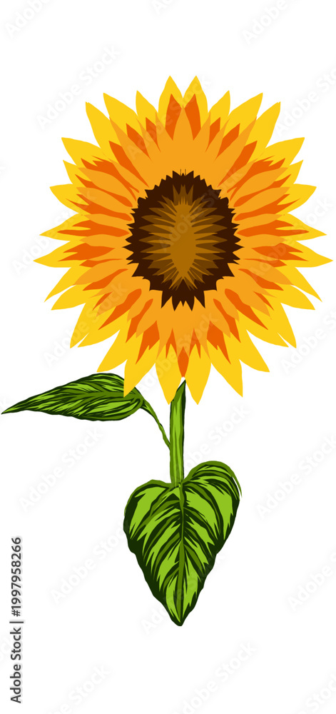 Naklejka premium sunflower isolated on white