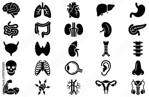 Comprehensive collection of human internal organs and body parts silhouette vectors, perfect for medical education, health infographics, and anatomical diagrams