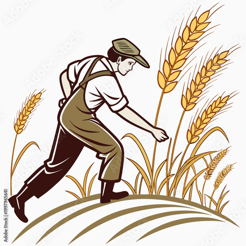 Man in green overalls harvesting wheat
