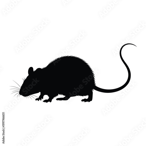 Black silhouette of a rat with long tail and whiskers