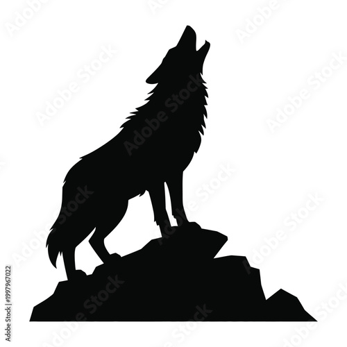 Black silhouette of a wolf howling on rocks white background