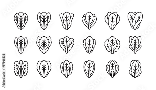 Collection of line art lettuce leaves in a grid pattern for healthy food concepts