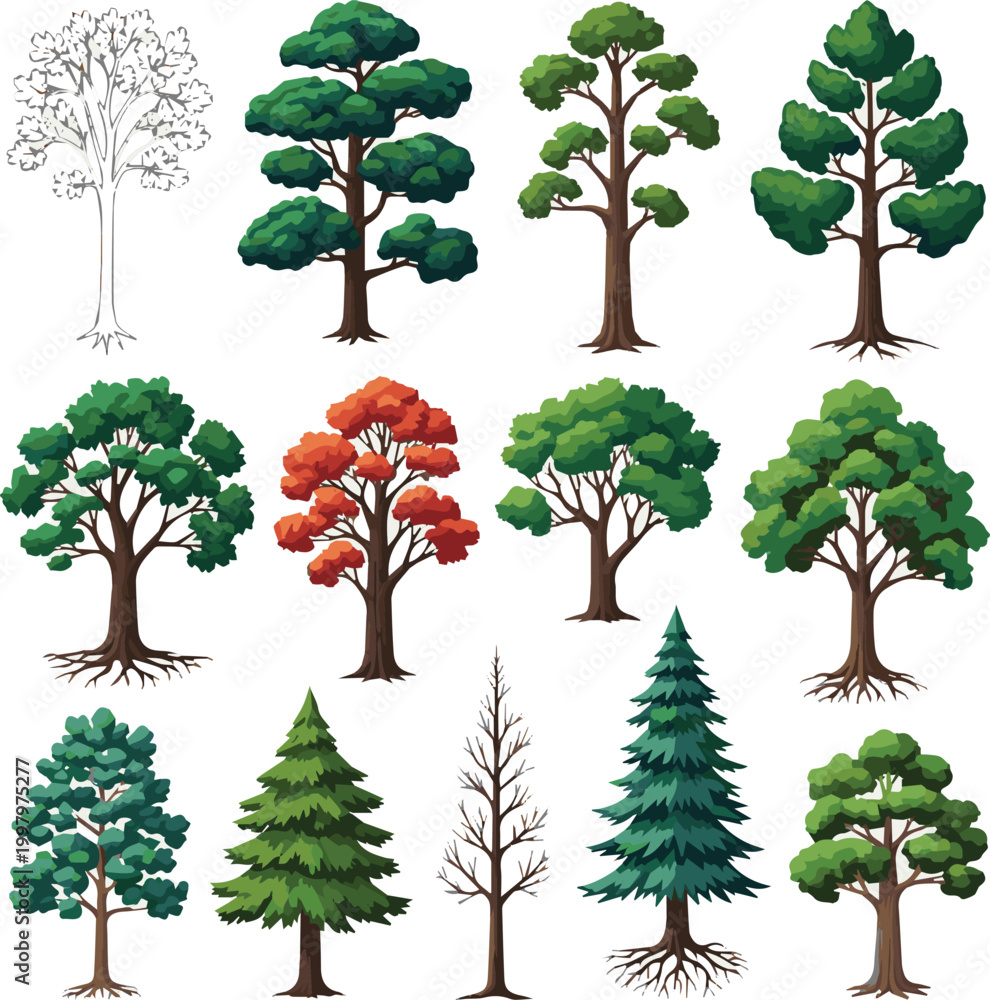 Fototapeta premium collection of trees