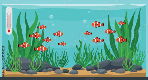 Vibrant aquarium filled with colorful clownfish swimming among green seaweed and gray rocks in clear blue water.