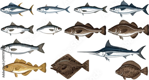Set of Hand-Set of Hand-Drawn Fish Illustrations in Different Species for Marine Life