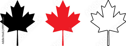 Photos canada maple leaf icon set flat design vector illustration