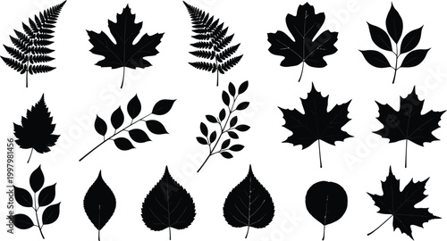 Black Leaf Silhouettes on White Background