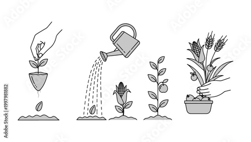 Planting and Gardening Process Line Vector Illustration Set