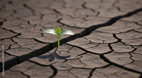 Resilient green sprout emerging from dry cracked earth symbolizing hope, growth, and overcoming challenges, perfect for environmental concepts