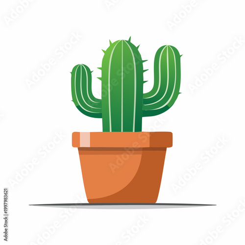 Green Cactus in a Terracotta Pot