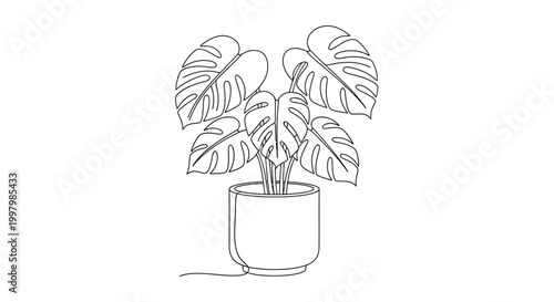 A minimalist line drawing depicts a monstera plant in a simple cylindrical pot showcasing botanical artistry