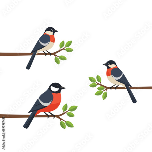 Foto Three cartoon bullfinches on branches
