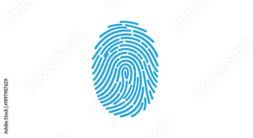 A stylized blue fingerprint illustration depicts unique patterns representing identification and personal security concepts