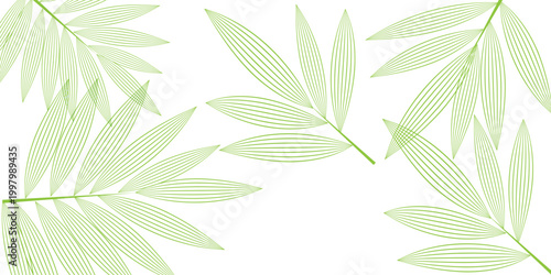 Green bamboo leaves pattern delicate line art illustration on a white background