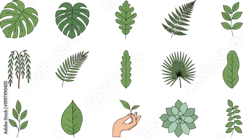 Foto Variety of Green Leaves.