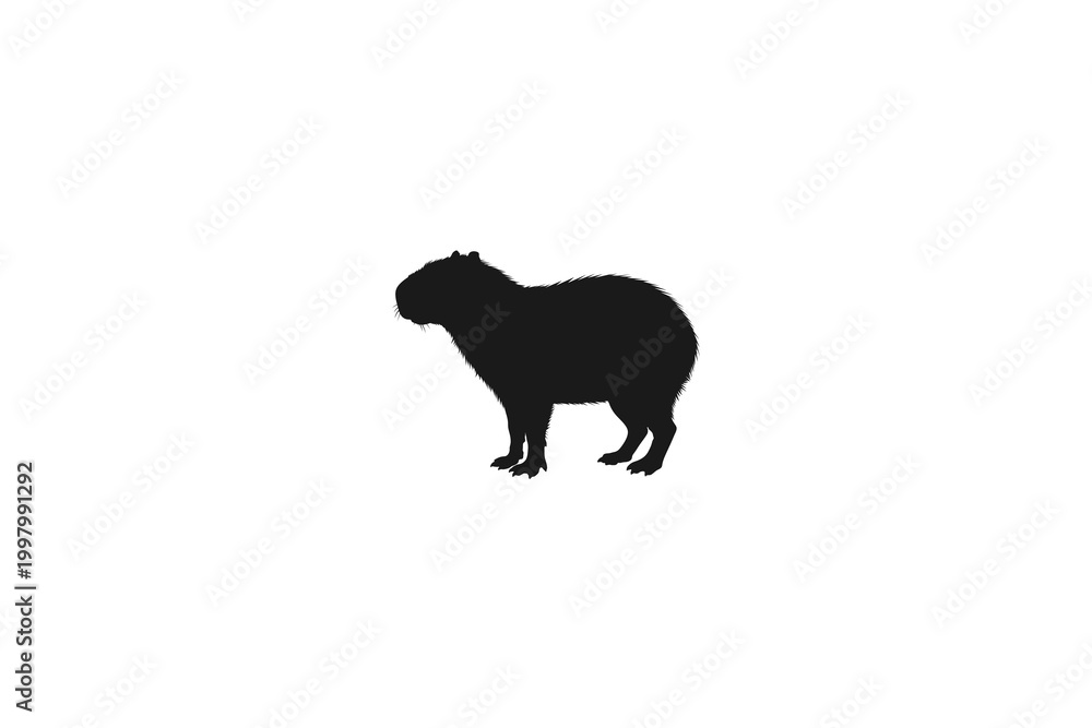 Obraz premium Capybara silhouette side view isolated on white