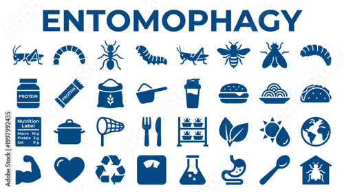 Entomophagy concept with icons representing insects food nutrition and health benefits for sustainable eating