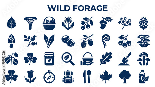 Wild foraging icons set for nature exploration and healthy eating with organic food gathering and outdoor adventure symbols
