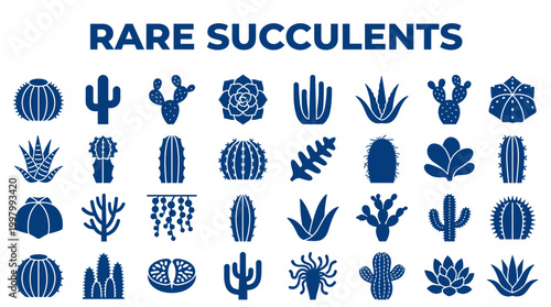 Collection of diverse rare succulent plants and cacti illustrations in a clean blue color palette on a white background, representing botanical diversity and unique plant species.