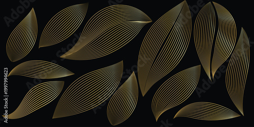 Golden leaf shapes abstract linear botanical illustration on black background high-quality professional
