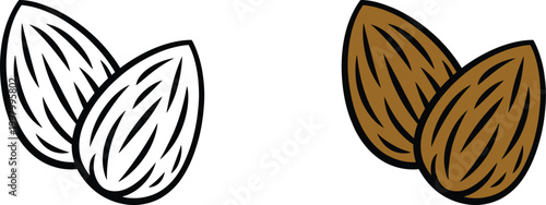 Two almonds, outline and color food ingredient healthy