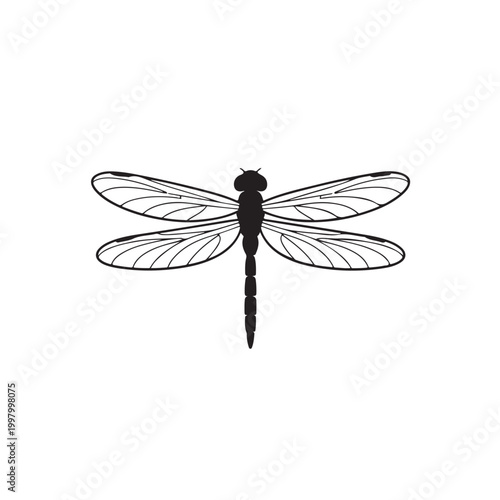 Simple black outline illustration of a dragonfly Vector