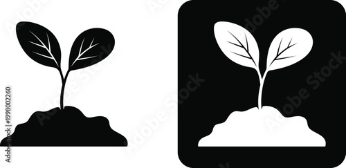 Black and white seedling growing from soil plant sprout