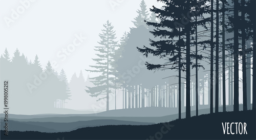 A serene landscape of a misty forest with tall trees