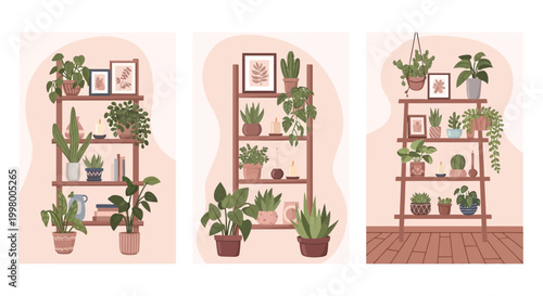 A set of three illustrations depicting wooden bookshelves filled with various potted plants and decorative objects