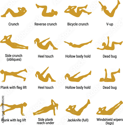 Set of core workout exercises showing various abdominal movements and body positions for fitness training and strength building