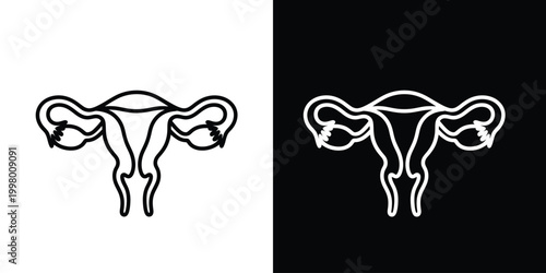 Vector illustration of female reproductive system anatomy in black and white