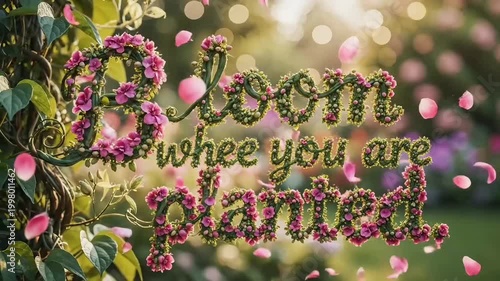 Bloom Where You Are Planted Inspirational Quote with Beautiful Floral Typography in a Lush Garden.