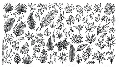 Intricate botanical illustration a dense arrangement of varied leaf and plant designs in black ink