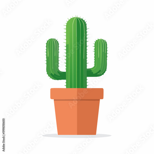 Green Saguaro Cactus in Terracotta Pot