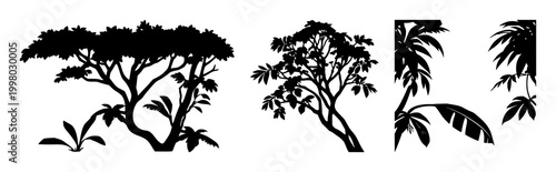 Rainforest canopy icon set with solid black icon on white background featuring trees, foliage, conservation with silhouette and canopy