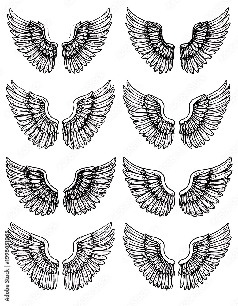 Obraz premium A set of eight symmetrical black and white wing illustrations