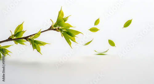 Fresh green leaves falling from a branch in motion illustration