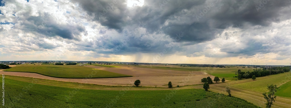 Naklejka premium Panoramiczny widok na malownicze pola uprawne pod dramatycznym, zachmurzonym niebem. Nad horyzontem widoczne lokalne opady deszczu. Wiejski krajobraz rolniczy w letni dzień przed burzą.