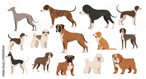 Large collection of diverse dog breeds in various sizes and colors represents canine variety for pet shops and veterinary clinics.