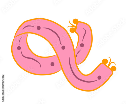 winter scarf illustration on a white background