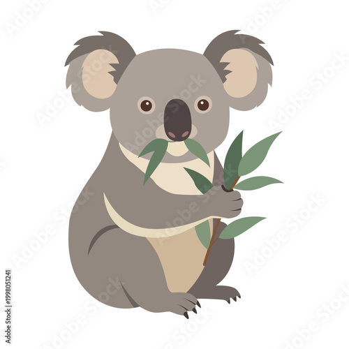 Cute Koala Illustration Eating Eucalyptus Leaves