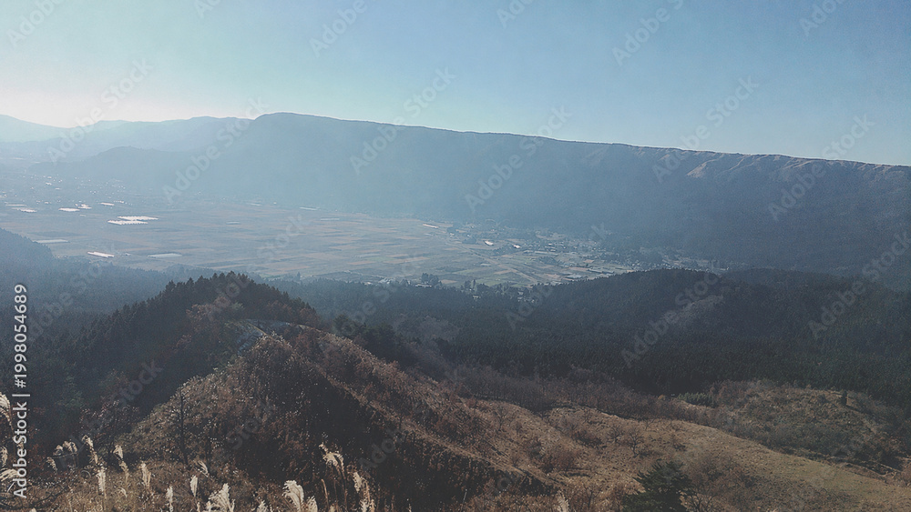 Fototapeta premium 夕暮れの光に照らされて幻想的に輝く赤い彼岸花