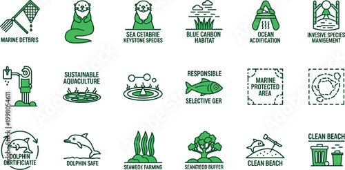 Green icons illustrate marine conservation methods on a  clean beach