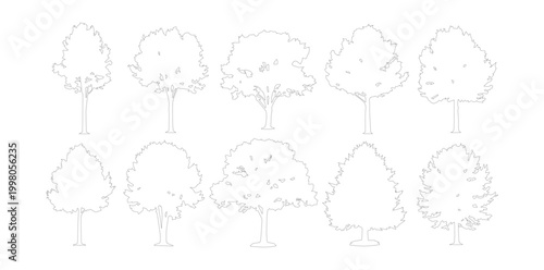 Minimalist tree outline collection, set of 10 thin line deciduous tree vectors, architectural landscape plant symbols for site plans and diagrams