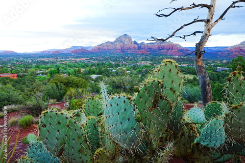 Fotografía Breathtaking Panoramic View of Red Rocks from Airport Mesa in Sedona, Arizona -