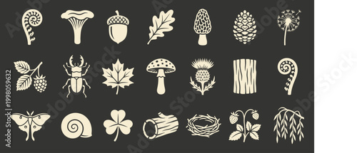 Forest nature elements icon set in vintage woodblock print style for sustainable branding